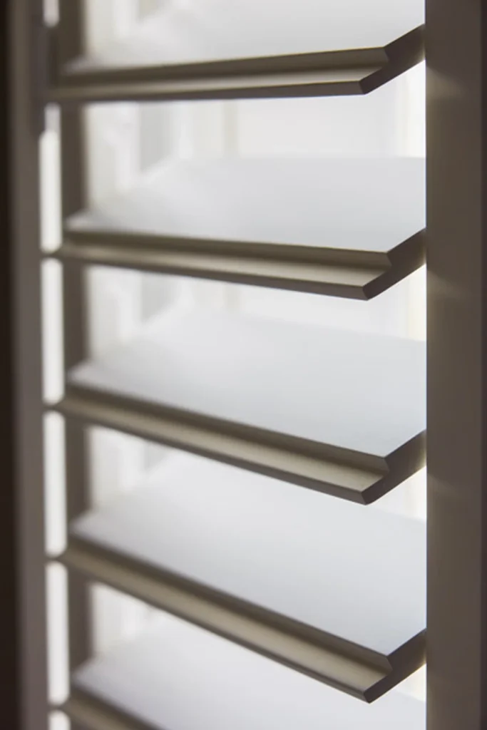 Paulownia, urban slat detail
